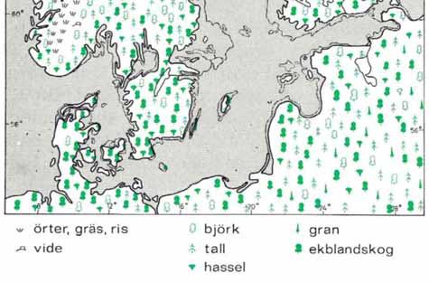 tid 6000 3000 år f. Kr.