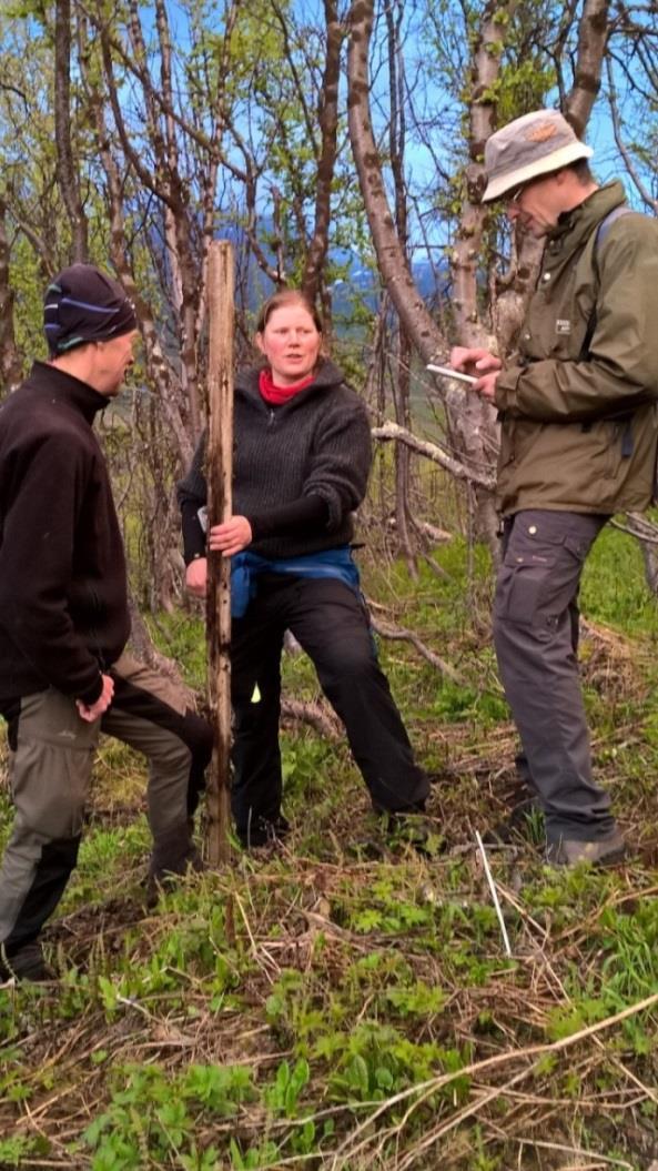 Anders Fries, SLU, Ingrid Hellberg, Jokkmokks fjällbotaniska trädgård och Kjell