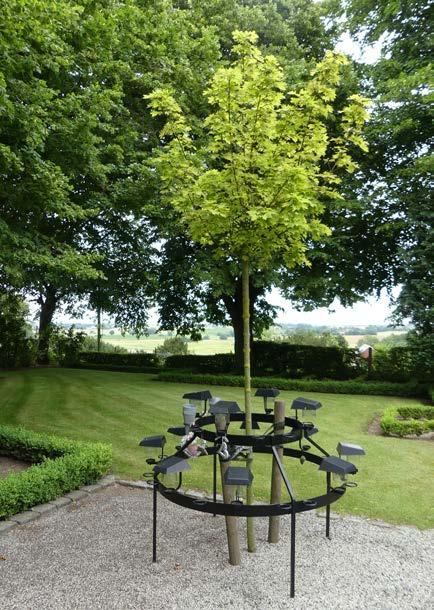 visar bristsymtom. na inte skadar trädets bark. Magnolia Nr 44 Trädet har estetiska värden. God. Prydnadsträd på kyrkogården. Trädet är nyplanterat.