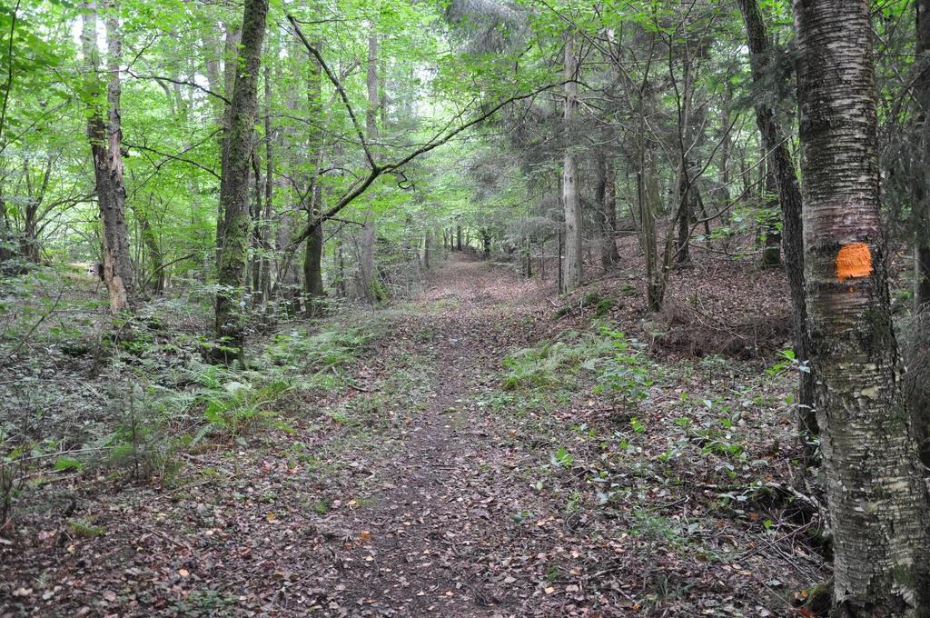 Höör Sjunnerup 2:6 Naturskog 33 ha Höör Byggnadsfri skogsfastighet i Sjunnerup strax norr om Höör. 33 ha mark varav 19 ha naturreservat, 8 ha skog och 4 ha igenväxande betesmark.