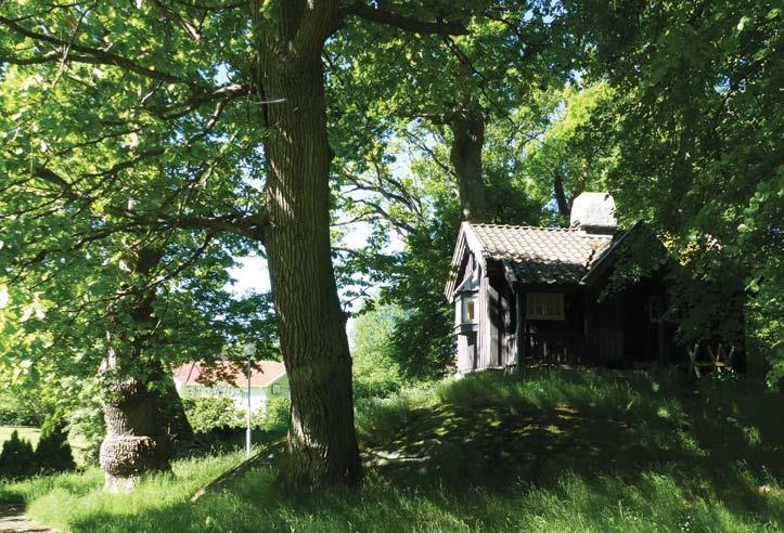 15:1 Zon 3 Den romantiska naturparken (figur 13) är sydost om huvudbyggnaden.