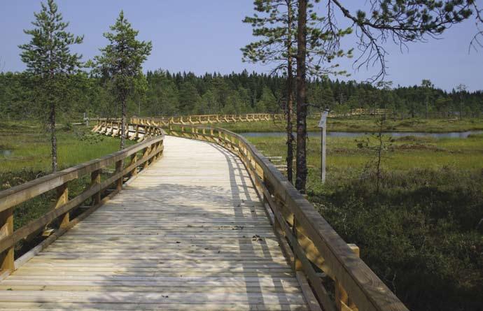 Välj promenadrutterna med omsorg Som promenadkompis lönar det sig att på förhand ta reda på var promenadrutter och viloplatser i din omgivning finns samt kartlägga eventuella hinder och