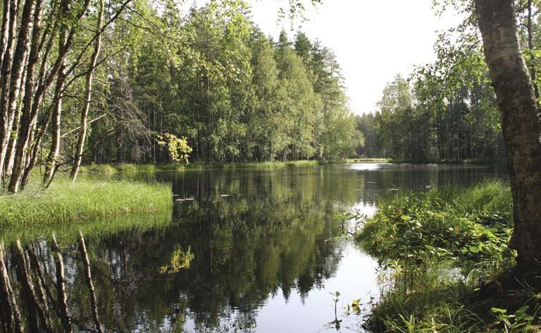 Omgivningen lockar, utmanar och utvecklar Utomhusmotionens många möjligheter När den äldre beger sig ut väljer han eller hon oftast välbekanta rutter och behagliga miljöer.