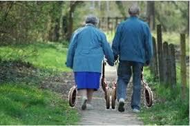 Måste man promenera? Promenader i all ära, men bara för att man är äldre kanske man automatiskt inte gillar att promenera?