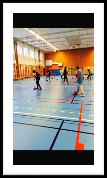 Ronjabollen har ett tydligt fokus på godkänt betyg i idrott och hälsa som är en förutsättning för studier på gymnasiet.