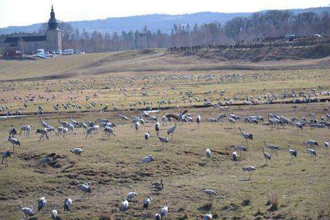 inte bara frågor som rör den enskilda hantverk eller handel, utan också en etiskt och moralisk undervisning som detaljerat anger den sökandes ansvar till andra.