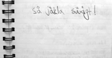 (en ung besökares kommentar i gästboken)
