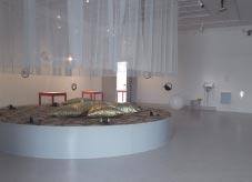 Följande utställningar visades: Från svans till snabel -23 januari 05 om vilda, tama och magiska djur i konsten Vandringsutställning från Nationalmuseum Lennart Åsling - 9 januari 05 koloristen från