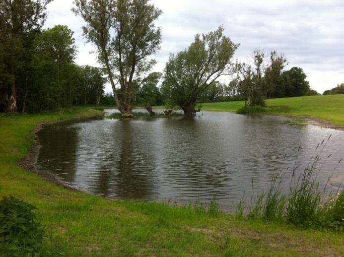 Våtmarker vid Esarp och Alberta Utmed Höjeå vid Esarp och Alberta har två nya våtmarker anlagts intill varandra.