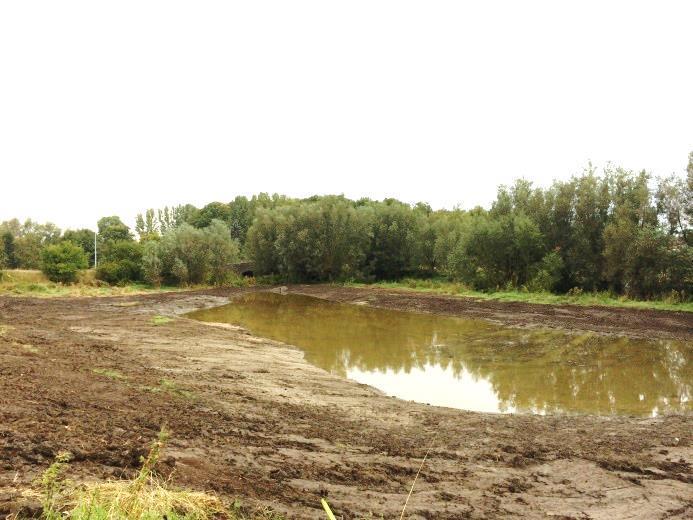 Ett samarbete gällande utredningar och praktiska åtgärder i syfte att minska översvämningsproblemen har också kommit igång mellan Höjeåprojektets arbete och den befintliga mellankommunala