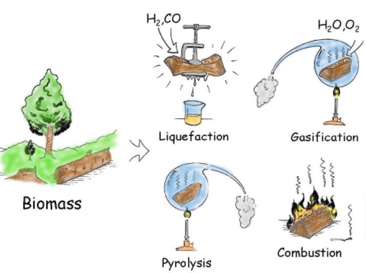 Projektarbete Förbränning - Bränslen Biobränslen CO 2 -neutrala över lång tid Olika bränslen och förädlingstekniker