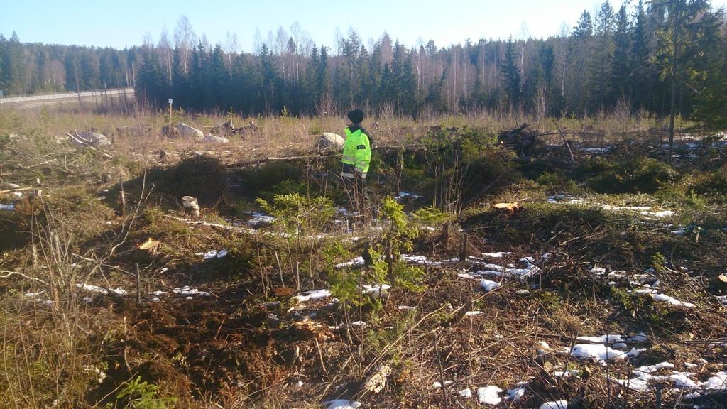 TIDIGARE UNDERSÖKNINGAR Endast ett fåtal kolningsgropar är funna i Hälsinglands nordöstra delar och bara enstaka undersökningar har utförts i området.