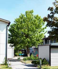 KÄLLA: HÅLL SVERIGE RENT 2 BOBLADET NR 1 2016 BURLÖVS BOSTÄDER Container levereras TISDAG DEN 12/4 TILL: RAPSVÄGEN 117, PÅ PARKERING DALBYVÄGEN 20 A, GRÄSMATTAN GAVELN DALBYVÄGEN17, GAVELN KORNVÄGEN