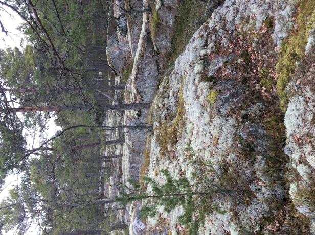 Figur A 2: Landskapet går i