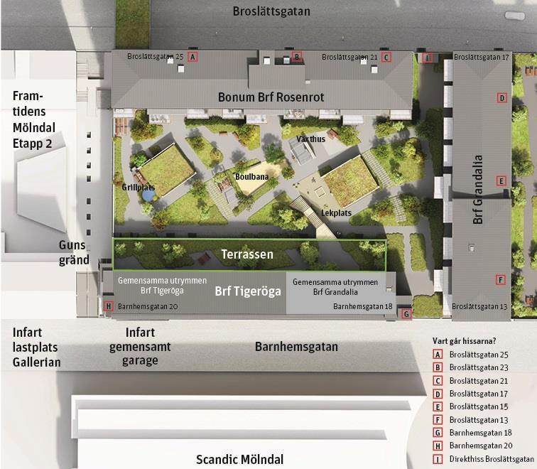 Information från projektledarna Entreprenör NCC Situationsplan Gemensam innergård Samfälligheten