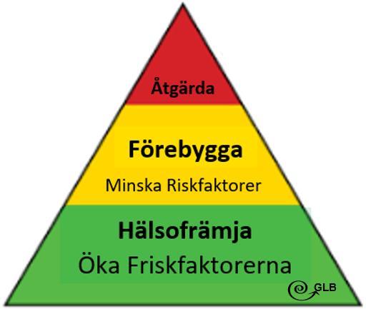 2 kap. 25 skollagen Elevhälsan ska främst vara förebyggande och hälsofrämjande.