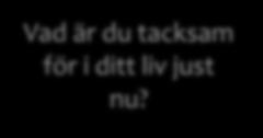 Vad gör dig glad?