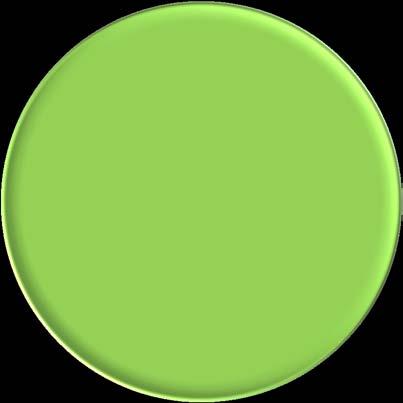 SUSTAINABILITY BY BRIDGING LEVELS THROUGH MANAGERIAL WORK AND ORGANIZING CHRONO CHRONO INTEGRATING VALUES: IND - PROF - PATIENT - ORG - SOCIETAL PERSPECTIVES: WORK ENVIRON QUALITY OF CARE EFFICIENCY