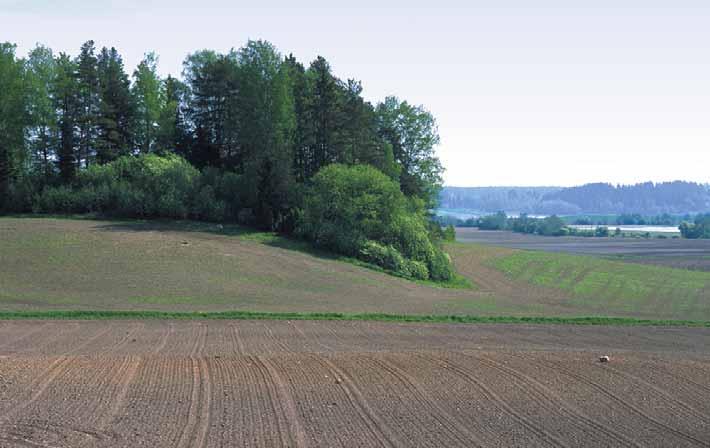 Små våtmarker I odlad miljö består våtmarkerna av strand - områden invid vattendrag samt små dammar och gölar som åtminstone någon del av året är täckta med vatten eller i övrigt blöta.