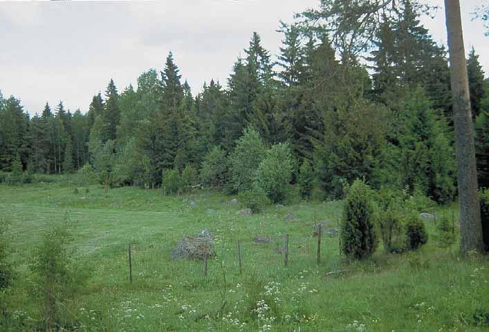 Aila Tarvainen En mångsidig kantzon består av ängar, buskar och träd. På kantzonerna finns det flera arter än i skogen eller på åkern.