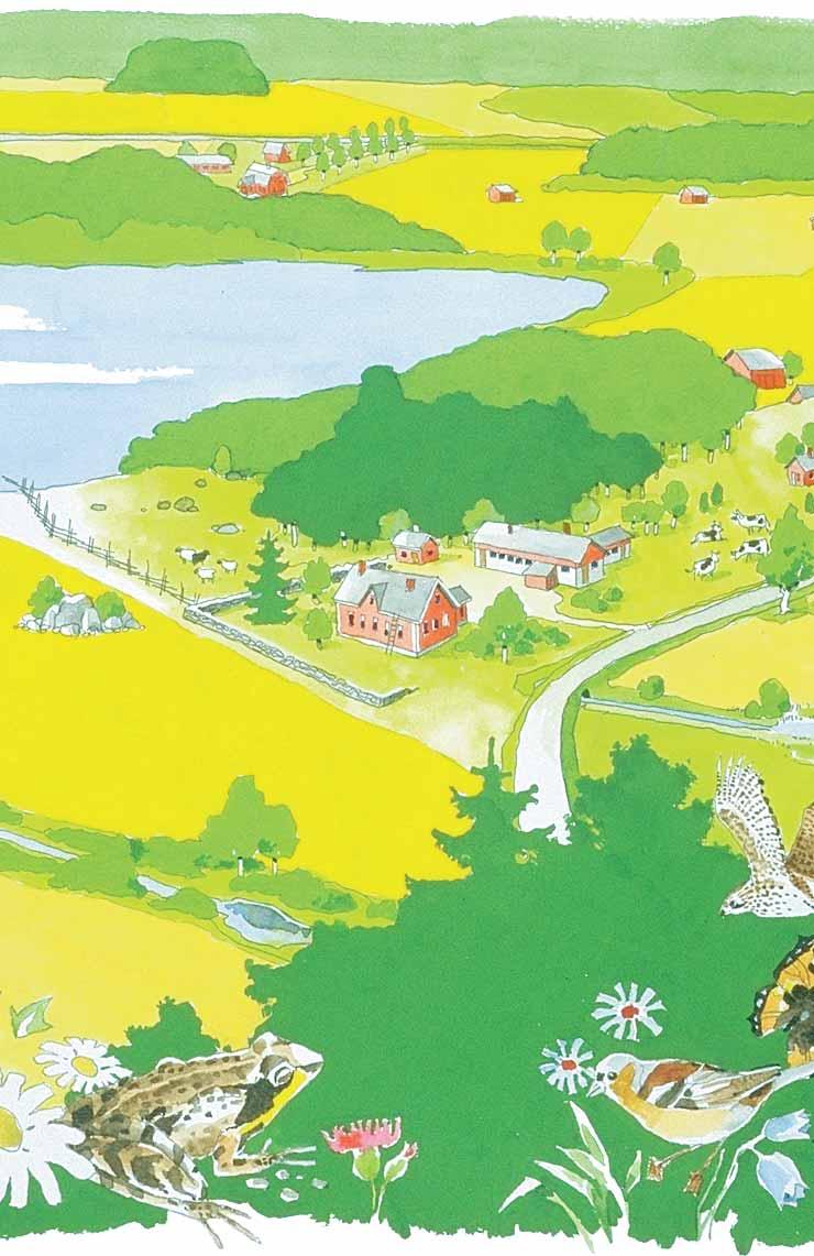 1 2 3 4 6 5 Naturlig slåtter- och betesmark, vårdbiotop Naturliga slåtter- och betesmarker har använts för jordbruk, bete eller foderproduktion.