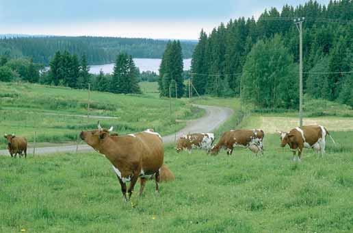 Betesdrift på naturbeten upprätthåller och befrämjar den biologiska mångfalden bl.a. genom att bredda floran samt öka antalet insekter och insektätande fåglar.