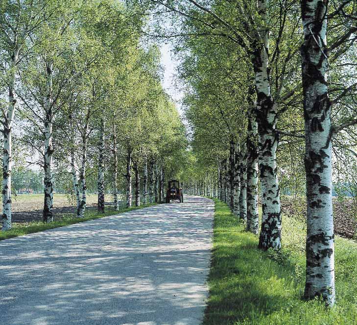 Tapio Heikkilä En skogsholme på en åker kan omfattas av avtalet i sin helhet om dess areal är högst ett hektar.