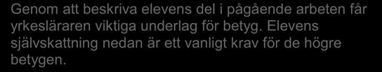 1 Genom att beskriva elevens del i pågående arbeten får yrkesläraren viktiga underlag för betyg. Elevens självskattning nedan är ett vanligt krav för de högre betygen.