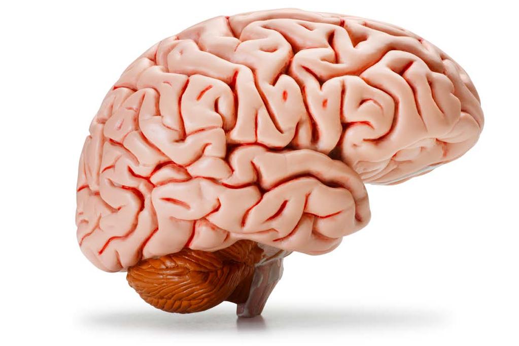 VZV i CNS