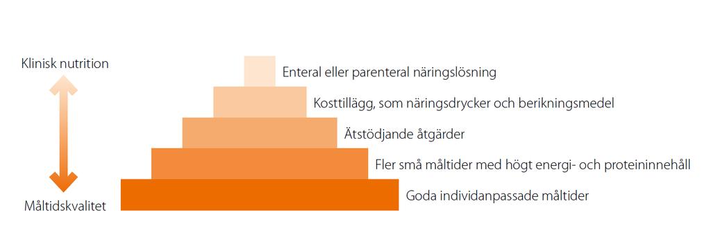 Måltiden som grund Grunden för all nutritionsbehandling är bra måltider, men dessa kan