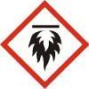 AVSNITT 2: Farliga egenskaper 2.1. Klassificering av ämnet eller blandningen CLP (1272/2008): Flam. Gas 1;H220, Press. Gas (Liquefied);H280. Fullständig ordalydelse av Hfraserna finns i avsnitt 16. 2.2. Märkningsuppgifter Signalord: Fara Extremt brandfarlig gas.