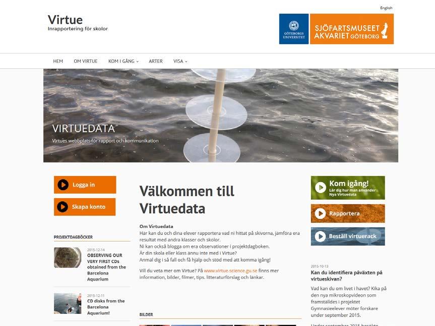 Blåmussla på virtueplatta De mätningar ni utför på vattnet i provområdet anpassas till den utrustning skolan förfogar över.