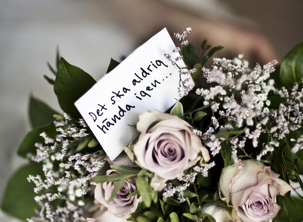 J Ä M S TÄ L L D H E T S S T R AT EG I J Ä M T L A N D S L Ä N 2 018 2 0 2 0 I en uppskattning från 2006 beräknar Socialstyrelsen att mäns våld mot kvinnor i nära relationer varje år kostar samhället