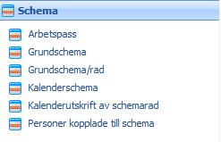 Rapporter - Schema De utskrifter som hämtar sitt underlag från grundschema