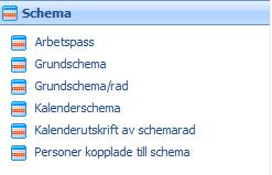 Rapporter - Schema De utskrifter som hämtar sitt underlag från grundschema