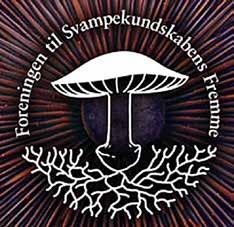 Föreningens logga Sedan blev det tid för de riktiga föredragen.