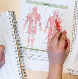 samhälle Vårt Naturvetenskapsprogram kännetecknas av att utbildningen bedrivs verklighetsnära.