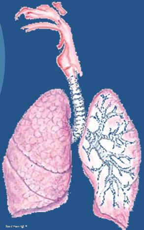 Inhalationer 6min