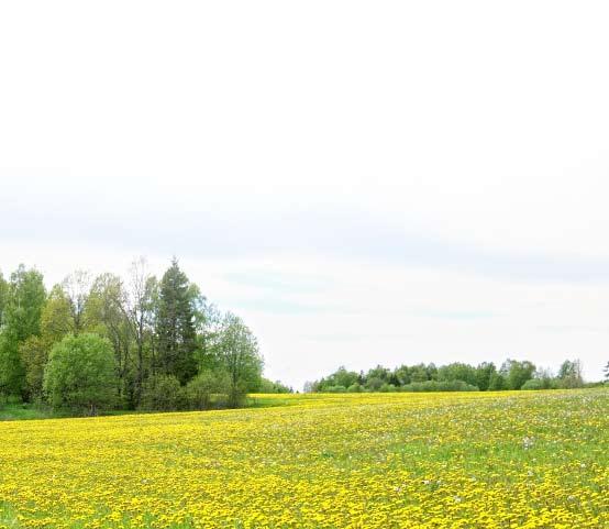 Vi ser dock en möjlig framtid där många människor är engagerade i att barn och ungdomar får chans att bli så kreativa som möjligt; där naturen vårdas och odling av mat sker så lokalt som möjligt,