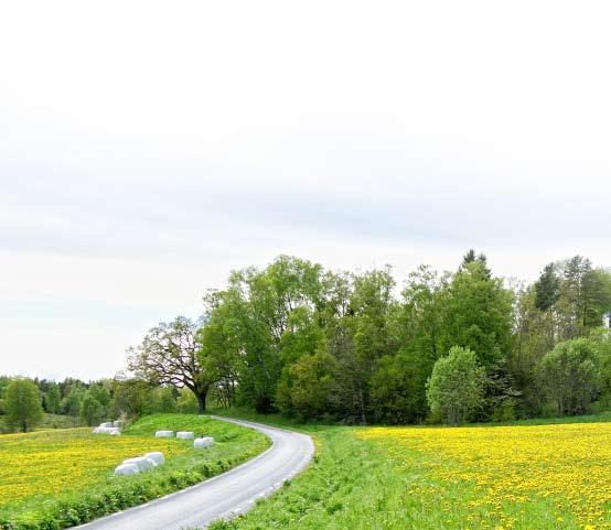Några ord från bankfullmäktiges ordförande Rüdiger Neuschütz Att tänka vidare - inte bara kring ränta För första gången har det internationella världssamfundet skapat en gemensam ram för att bekämpa