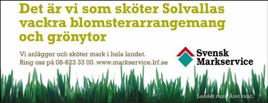 VARG OLLE 9 15,7 M 14,0 AK 15, AM 0 500 9,mbr. v. e Tap In - 15: 1 0-0-1 15,5a 1 100 14: 15 0-0-0 15,a 14 800 Tot: 65-4-4 9 Carolina Moon e Ultimo H.