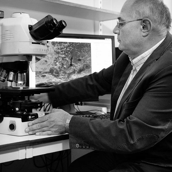 ämnet anatomi. Lev Novikov blev docent i experimentell neuroanatomi 2002 och i anatomi 2010.