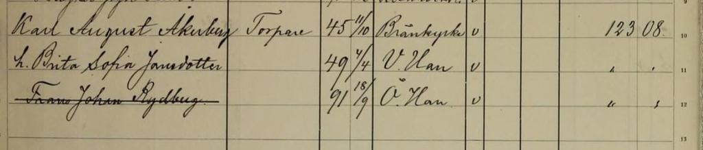 Det är här på torpet som fostersonen, Frans Johan, nu kallad John, drabbas av olyckan sent på söndagskvällen den 10 juli 1910. Ur Österhaninge församlingsbok 1910, torpet Fågelsången.