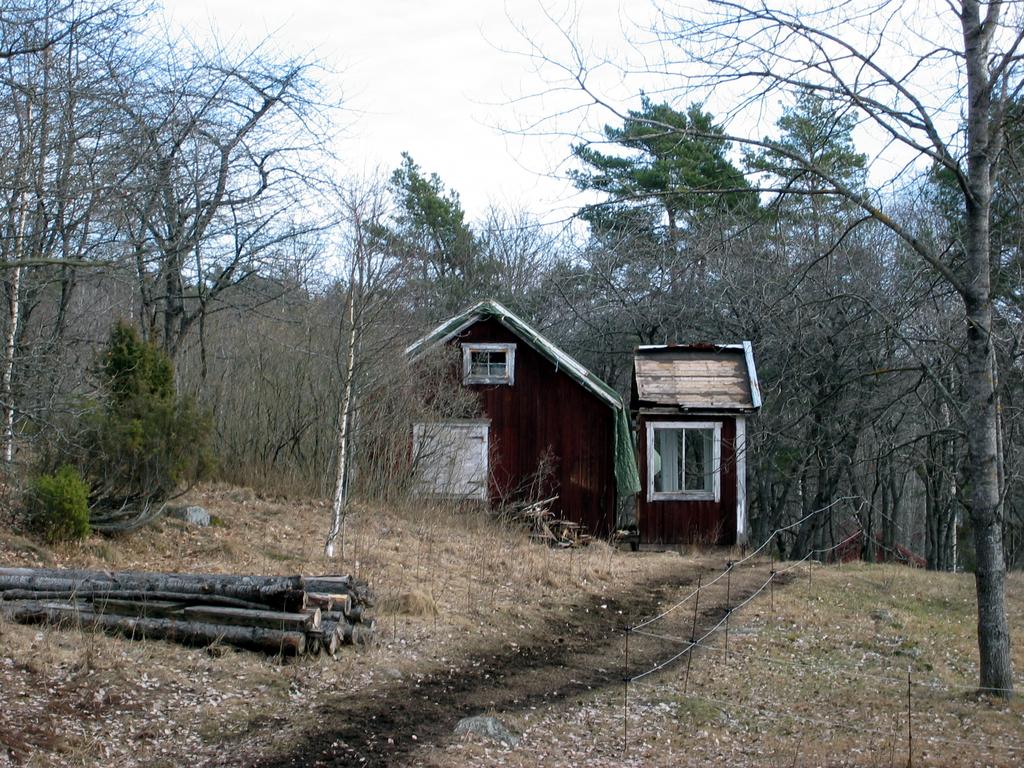 En bild på Fågelsången från 2003 då dåvarande ägaren försökte rädda torpet för eftervärlden.