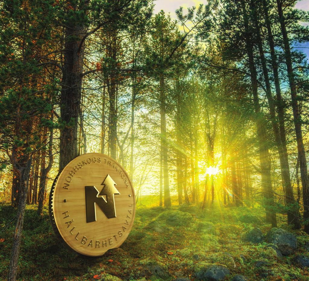 Tillsammans skapar vi ett högre värde på din skog! Teckna Norrskogs nya hållbarhetsavtal Träkronan så kan vi tillsammans optimera din skog och avkastning för ett långsiktigt hållbart skogsbruk.