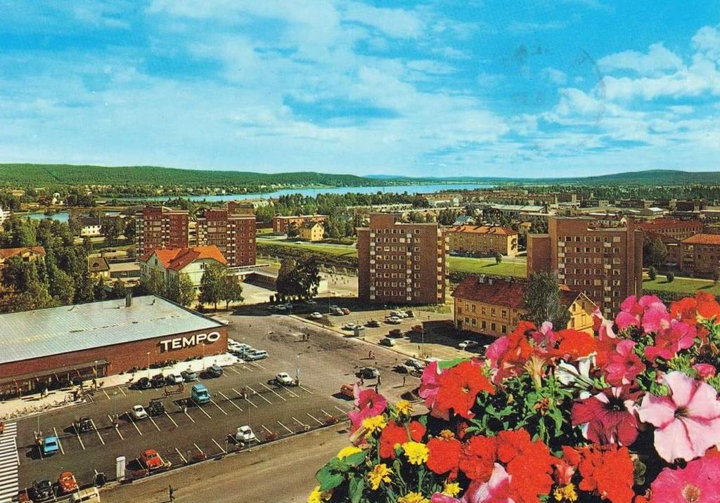 Kvarteret Cedern år