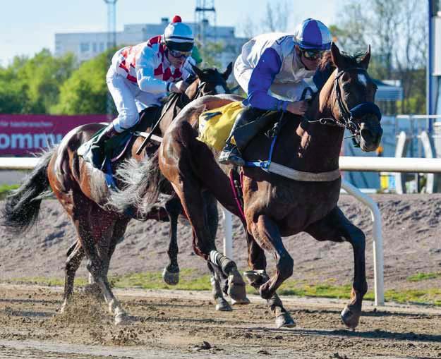 DERBYBANAN JÄGERSRO NR 11 SÖNDAG 8 JULI 2018 KL 12.45 JÄGERSRO GALOPP Vi laddar för Svenskt Derby nästa söndag!