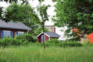 I hela kommunen måste ökad trygghet, jämställdhet samt att bevara och utveckla grön- och friluftsområden prioriteras.
