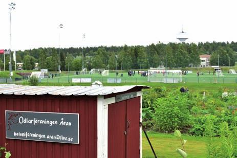 Genom att satsa på barns och ungas kultur och fritid ger vi möjligheter för dem att ta del av ett rikt utbud utan att det ska behöva kosta allt för mycket.