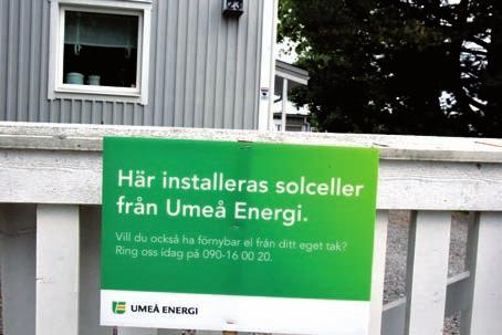 När Umeå växer blir park- och naturområdena i anslutning till bostadsbebyggelsen allt viktigare, inte minst naturområden i eller nära centrala Umeå.